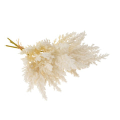 Bouquet de Pampas