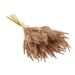Petit bouquet de graminées pampas, marron clair