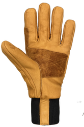 Gants Auclair Sno OPS 2.0 Hommes