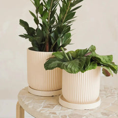 Pot pour plante Ripple