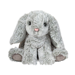 Gray mini bunny