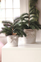 Alpine spring tabletop Tree