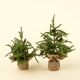 Winterwood tabletop Tree