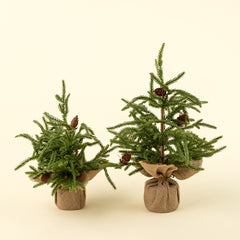 Winterwood tabletop Tree