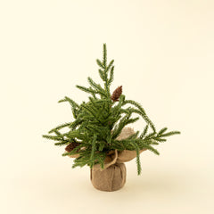 Winterwood tabletop Tree