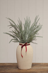 Norway spruce Sprig