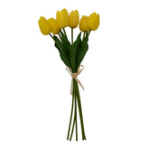 Tulipes