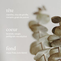 Soja & Co - Gel de douche | Eucalyptus, Menthe & Romarin