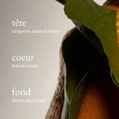 Soja & Co - Diffuseur à roseaux | Tangerine, Santal & Ambre