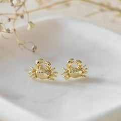 Petits étalons de crabe