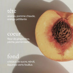 Soja & Co - Bougie | Pêche + Gingembre frais