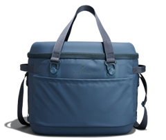 Carryout cooler 30L
