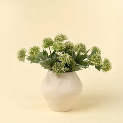 Spray de Sedum, vert