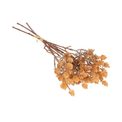 Petit bouquet d'herbes sauvages, marron clair
