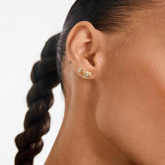 Pilgrim Nova 2-en-1 Boucles d'oreilles