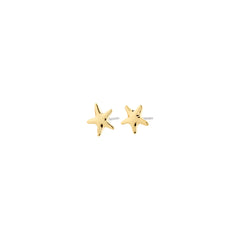 Boucles d'oreilles andré