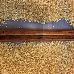 Favuzzi Pâtes Fregola