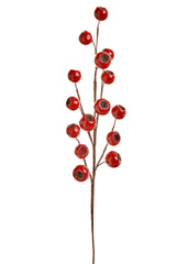 Branche de grosses baies rouges