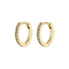 EBNA small crystal hoops