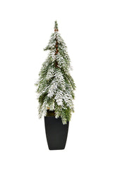 Grand sapin pot noir