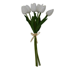 Tulipes