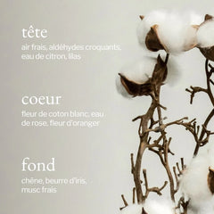 Soja & Co - Bougie | Coton blanc + Linge frais