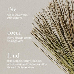 Soja & Co - Bruine d'ambiance | Écorce de pin + Cèdre