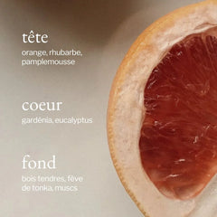 Soja & Co - Bougie Eucalyptus + Pamplemousse