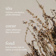 Soja & Co - Bougie Lavande, Bois de santal & Vanille