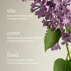 Soja & Co - Bruine d'ambiance | Lilas + Romarin