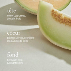 Soja & Co - Diffuseur à roseaux | Melon + Air salin