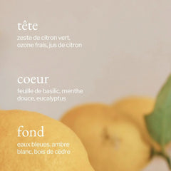 Soja & Co - Savon à vaisselle liquide Citron, Sauge et Romarin